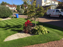 small lush lawn with flowers treated by GreenThumb Falkirk