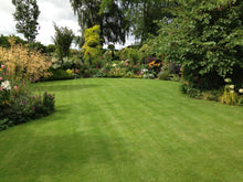 Large lush spring lawn treated by GreenThumb Boston