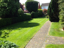 A healthy green lawn treated by the team at GreenThumb Leicestershire West