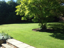 A healthy vibrant lawn treated by GreenThumb Leicestershire West