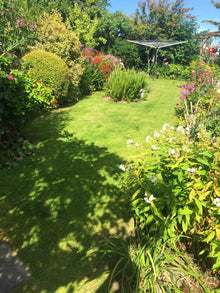 lawn surrounded by plants treated by GreenThumb Gwynedd