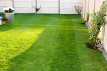 GreenThumb Lincoln green lawn in summer