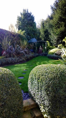 long lush green lawn treated by GreenThumb Kingston