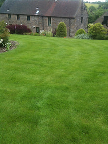 vibrant green Lawn treated by Staffordshire Moorlands 