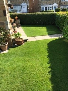 lush front lawn treated by GreenThumb Wharfedale