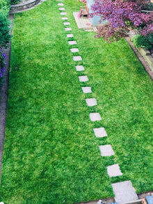 Healthy lawn treated by GreenThumb Notts North