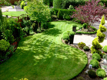 A beautiful lawn treated by GreenThumb Notts North