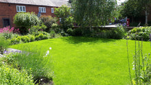 vibrant green lawn treated by GreenThumb Worcester