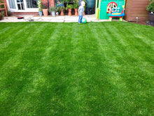 Healthy lawn treated by GreenThumb Lancaster