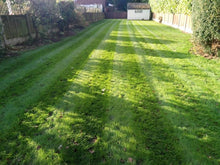 A new lawn after a Lawn Makover by GreenThumb Birmingham North