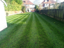 After a lawn makeover by GreenThumb Birmingham North