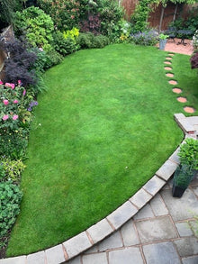 lovely lawn surrounded by flowers treated by GreenThumb Worcester