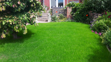 Small lush lawn treated by GreenThumb Kidderminster