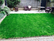 Vibrant healthy GreenThumb Croydon lawn