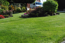 GreenThumb Manchester North West treated lawn