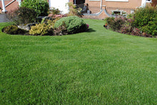 Beautiful lawn treated by GreenThumb Manchester North West
