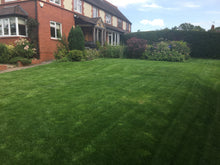 lovely green lawn treated by greenthumb warwick