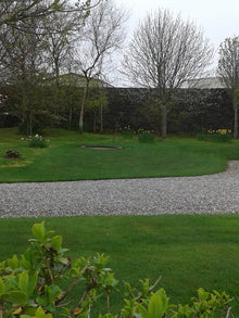 A green healthy lawn treated by GreenThumb Antrim North
