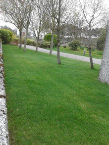 Healthy grass treated by GreenThumb Antrim North