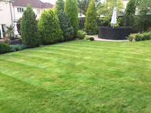 lush green lawn treated by GreenThumb Falkirk