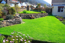 beautiful spring lawn treated by GreenThumb Denbighshire