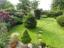 Green lawn treated by GreenThumb Milton Keynes