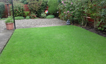 vibrant lawn treated by GreenThumb Falkirk