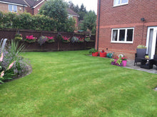back lawn with stripes treated by GreenThumb Falkirk
