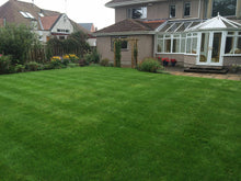 green lawn treated by GreenThumb Falkirk