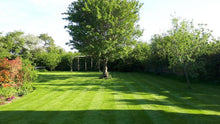 large beautiful lawn with stripes treated by GreenThumb Worcester