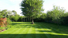 A beautiful lawn treated by the GreenThumb Redditch team