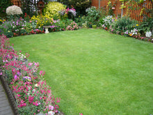Lovely healthy lawn treated by GreenThumb Notts North