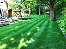 Lush green lawn with stripes by GreenThumb Hastings