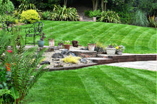 A landscaped lawn