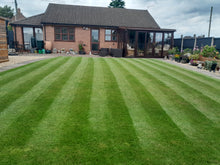 GreenThumb Shropshire Striped lawn