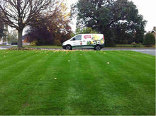 Lush lawn after it was treated by GreenThumb Wolverhampton