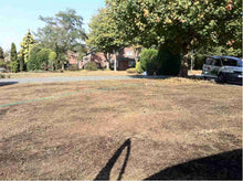 Lawn before it was treated by GreenThumb Wolverhampton