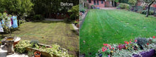 Before and after Scarification by GreenThumb Solihull