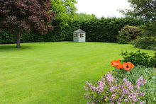 large green lawn treated by GreenThumb Denbighshire
