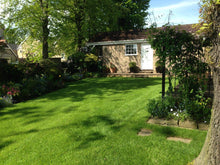 lush lawn treated by GreenThumb Wharfedale