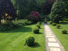 large lush lawn surrounded by plants treated by GreenThumb Wharfedale