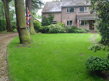 lush lawn after it was treated by GreenThumb Birmingham South West, Dudley & Great Malvern