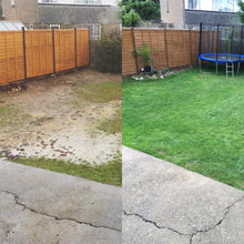 Before and after treatments by GreenThumb Bromley and Croydon