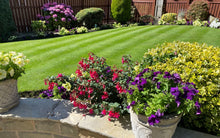 A beautiful garden and healy grass that is treated by GreenThumb Cleckheaton