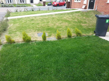Cleckheaton GreenThumb comparison lawn treated by GreenThumb and one which hasn't