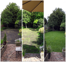 Before, during and after treatments by GreenThumb Croyden and Bromley