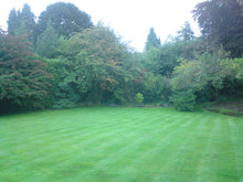 A striped lawn that has been treated by GreenThumb Bromley and Croydon