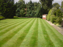 A large beautiful lawn that has been treated by GreenThumb Bromley and Croydon