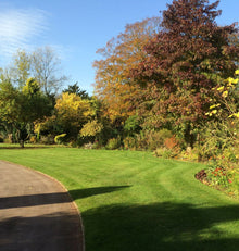 ~Lush Autumn lawn treated by GreenThumb Notts South