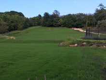 Beautiful GreenThumb Blackburn lawn